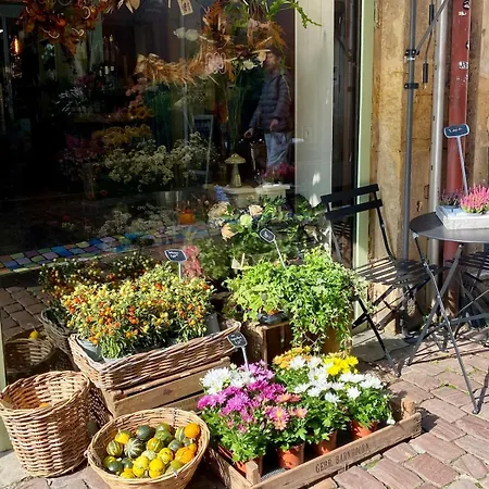 Mirabelle-charmant Coeur De Διαμέρισμα